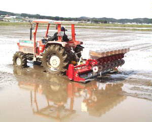 �\�z�ȏ�ɑ�����Ƃ��i��