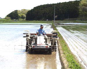 �����̏o��F�j���̗F�l