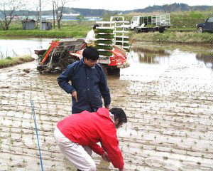 ������ݒ�