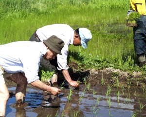 �y�̉�����������Ȃ���I