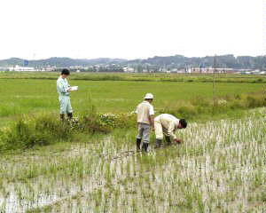 ���d�ޏ�̐��璲��