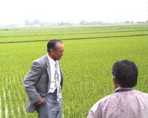 �����鏬�ѕ�������