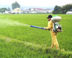 ���ꂩ�炪�����A�]�_�J���U�z