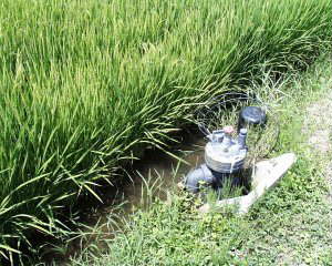 �|������