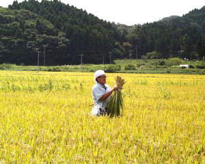 ��������F�{�錧�j�����F�l�ޏ�