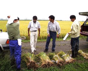 ��̎p���r���āA�o���H�����