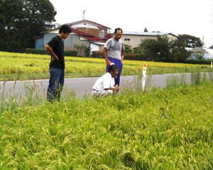 �Ί炪�L����