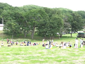 �����̃X�P�b�`���y���ސe�q