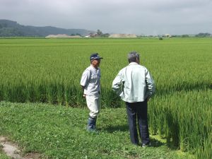 ���n�ōł��������O��