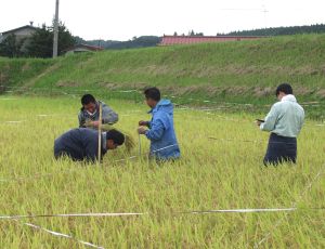 ���N�̊����肪�n�߂�