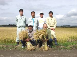 ��Q�C�ۂƂ̐킢���I����