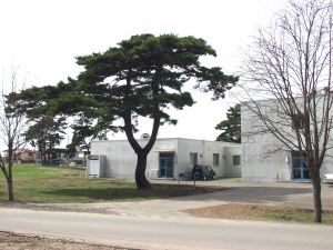 �����Q�����`�[���̐V�������_