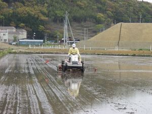 ��������������Ƃ��ł���΁E�E����