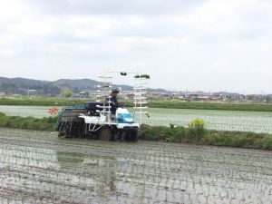 �}�s�b�`�Ői�ޓc�A��