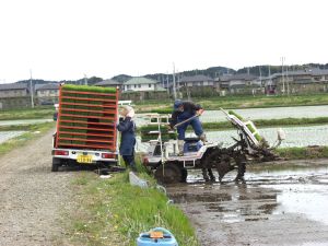 �c�A���͉Ƒ��Ɛe�ʂŖL����肤