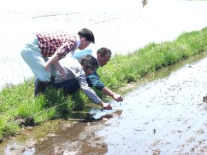 ���d�̎�̔���́H���悢�撹�ɒ��ӁI