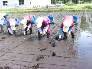 �L����F��Ȃ���I