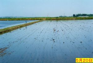 �߉����j�^�[���d�ޏ�|���͊��΍�ɒǂ���