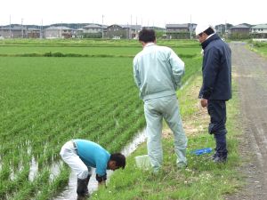 �U���K�j��l�|�q���̋��ނɁI