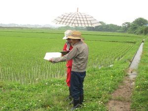 ���т���̋Z�p�̖{���́H