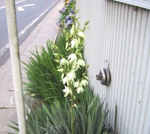 ���j�^�[�̐A���w�W�C�g����