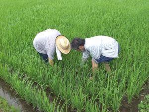 ���т���̐f�f��@���w��