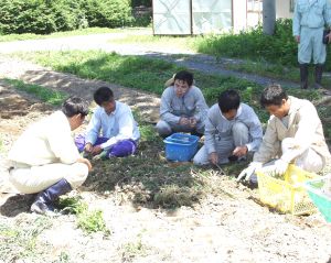 �j���j�N�̎��n�ɒǂ��郂�j�^�[�Ƃ��̒���
