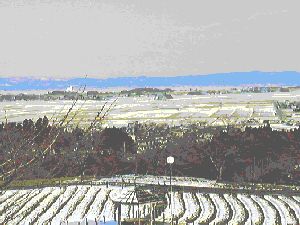 ���U�̋{�錧���R��