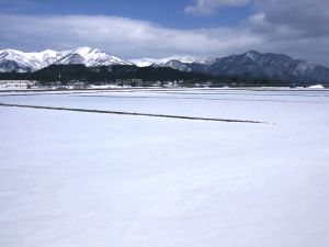 �ŏ�͐�[��