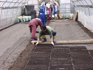 �ꑰ���o��