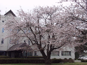 ���N���X�^�[�g