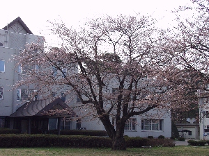 ���N���X�^�[�g