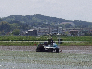 �c�A���I�c�A���I