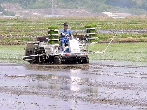 �c�A���I�c�A���I