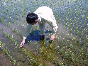 ���l�̃C�l�Ɋ�������