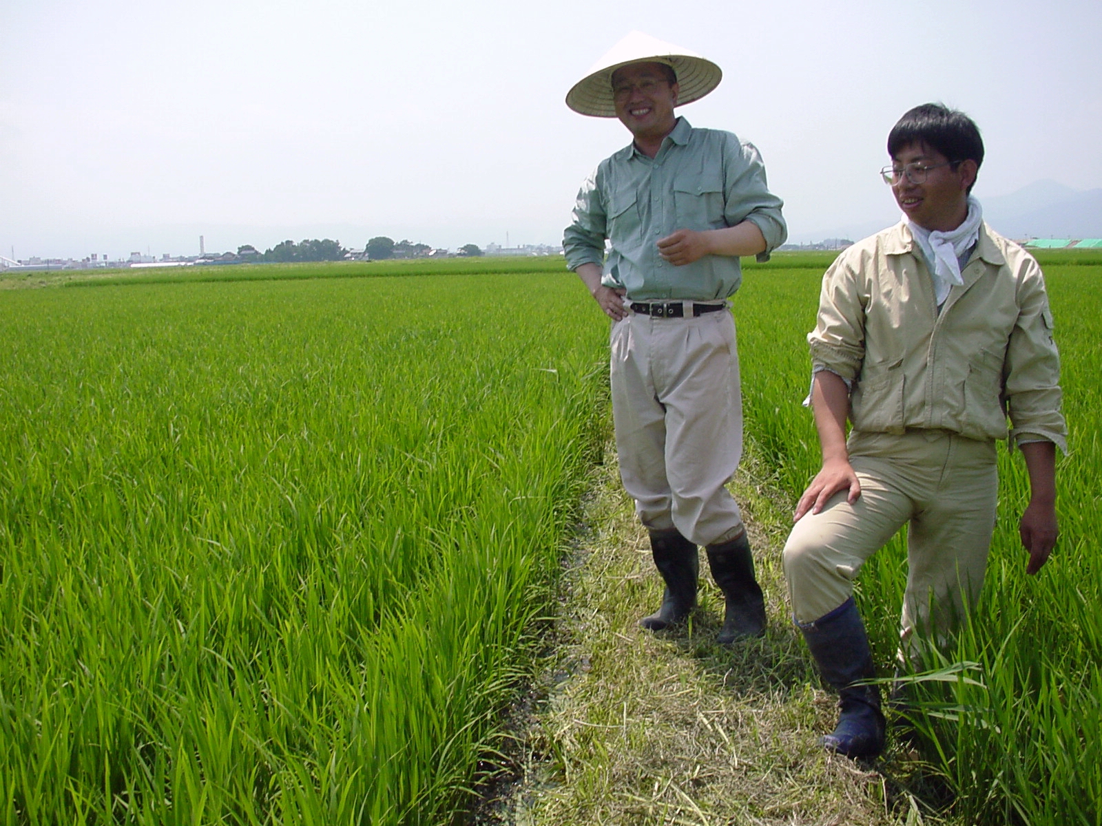 �����Ȑ���