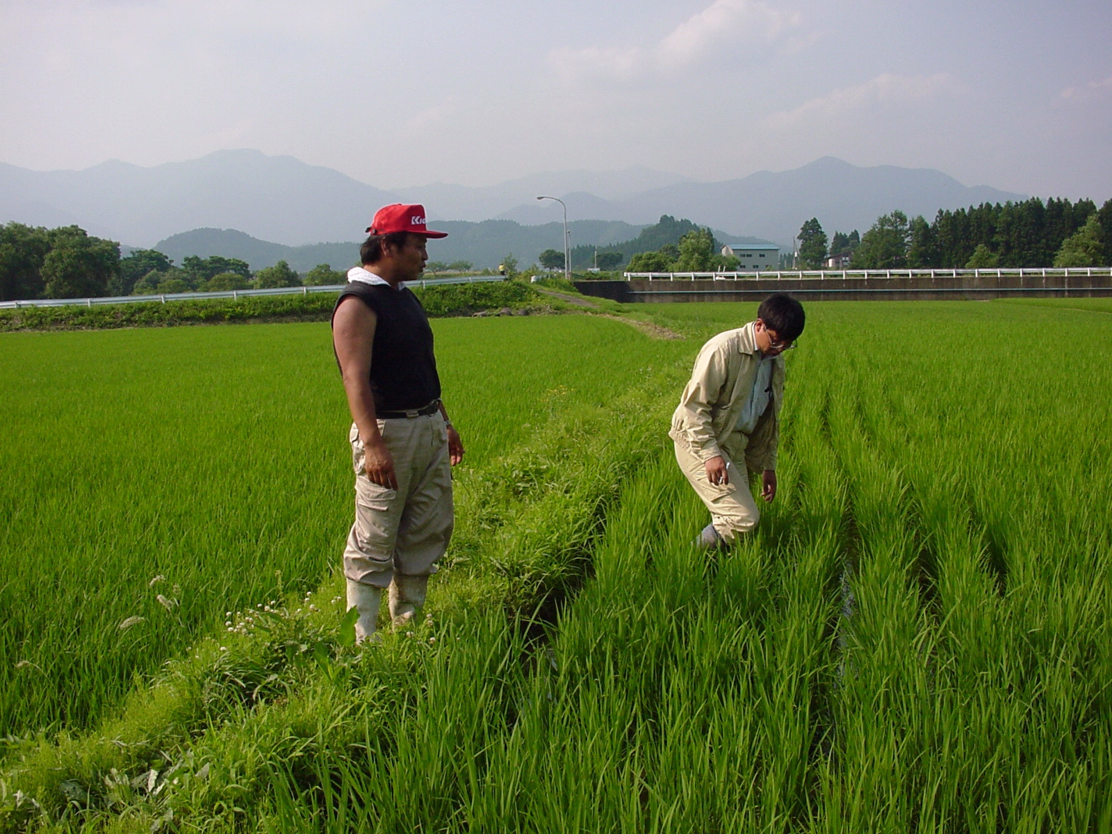 �c��͂�����