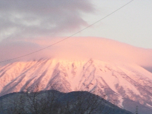 �����̏o���󂯂ċP�����R