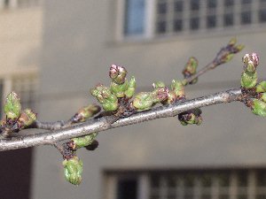 ������͂܂��Q