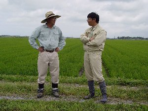 �����Ȑ���