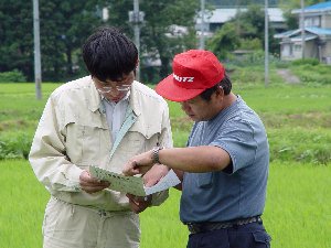 ����͂�����