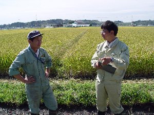 �Ί��s�̃��j�^�[��