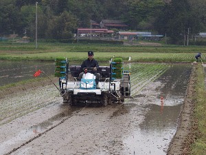 �c�A�����I�c�A�����I