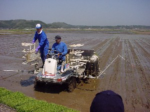 �u���Ƃ��̓X�g���[�g�ɐA���܂����I�v