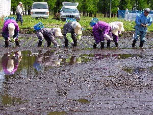 ���`�ĐA���邼���I