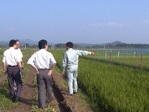 ����f�f�ޏ�ł�