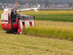 ���ʂ͂�����