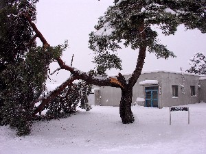 ���̏d�݂�