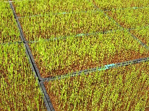 �����ɑς���