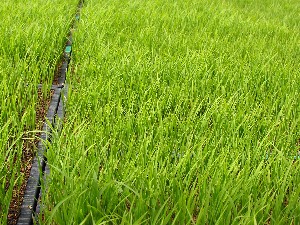 �c������